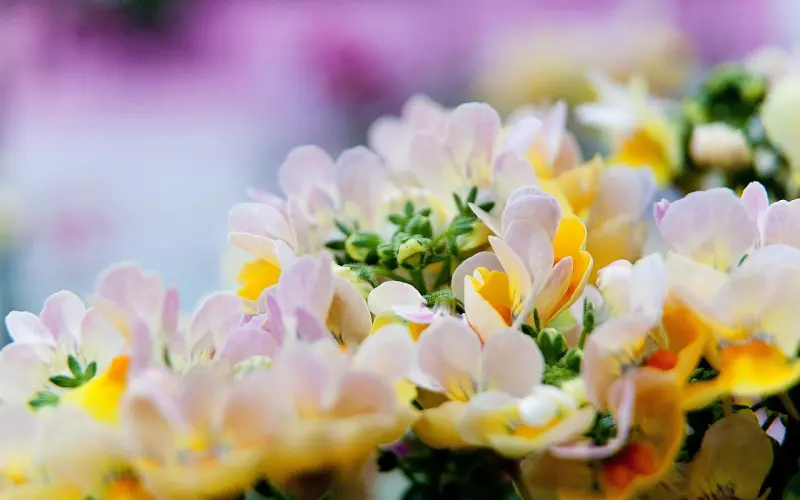 不会区别包容与忍让得吃多少亏，你知道吗？