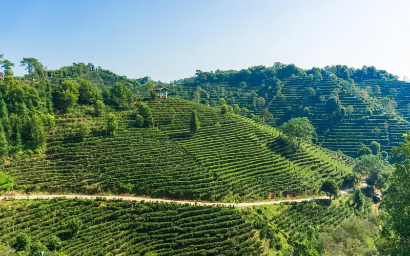 女人最讨厌男人触碰的六个“禁区”，你知道是那些吗？