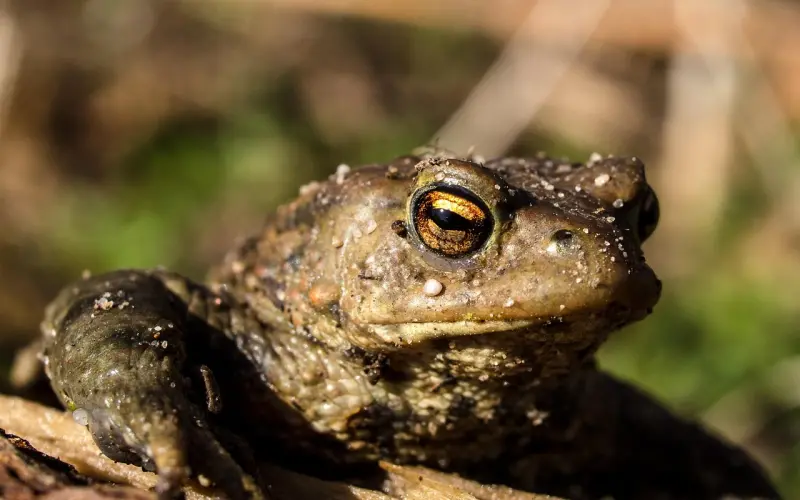 那些破坏挽回爱情的负能量，你知道吗？