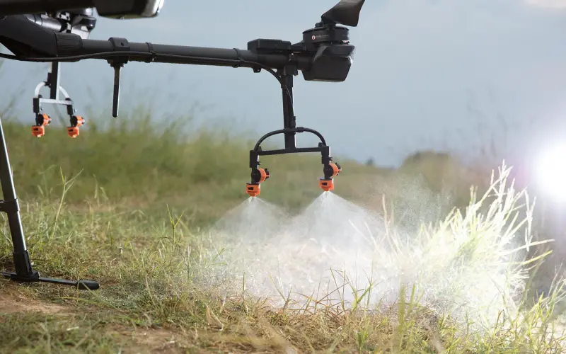 你是不是很想念我？