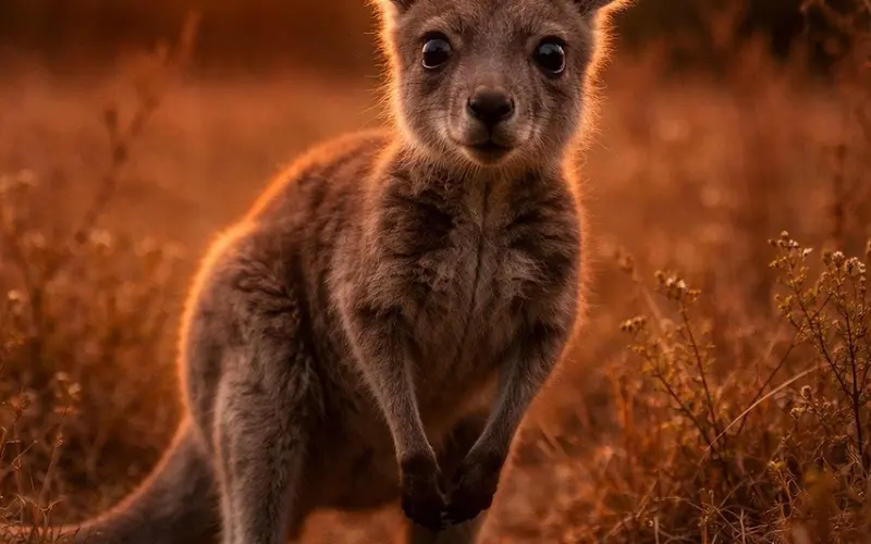 有过异心的男人，还需要挽回吗？怎么正确挽回婚姻