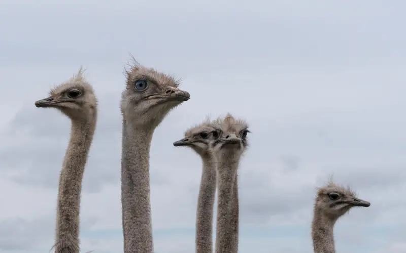 你以为不放手，他就不会走吗？