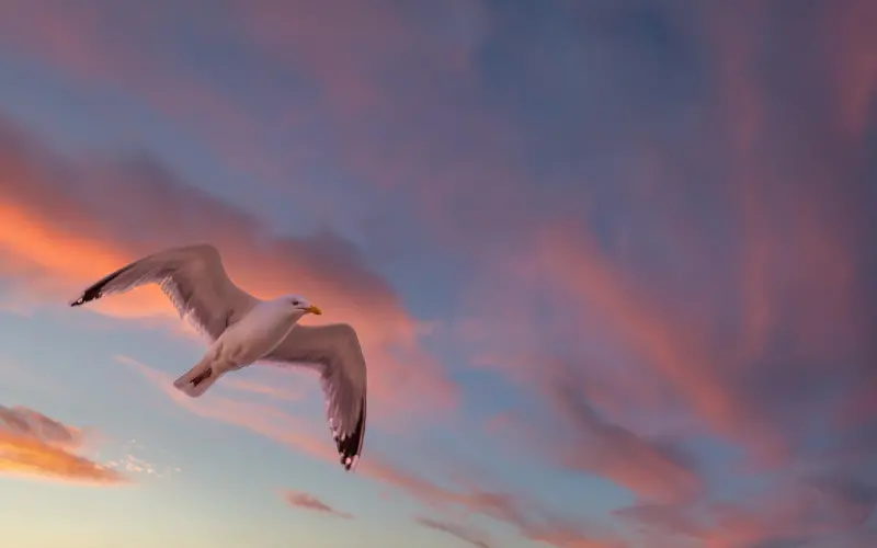 想让对方跟你好好说话？那就别光讲道理啊啊啊！