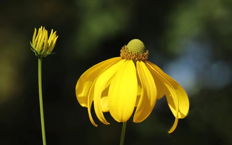 红颜知己这样的关系，真的存在吗？