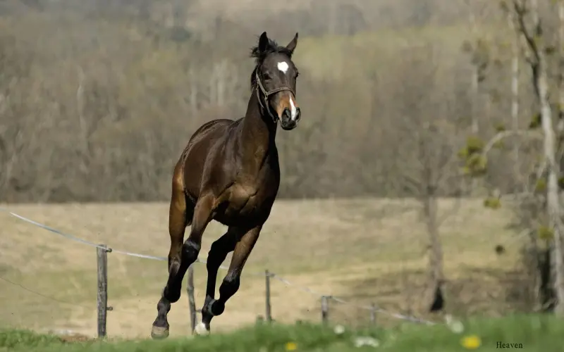他是不是对我只有生理上的需求？