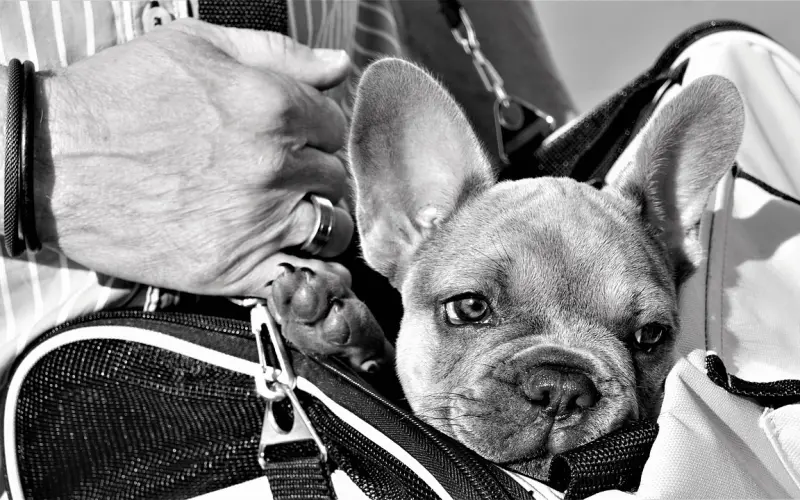 前男友是不是把我当炮友了？