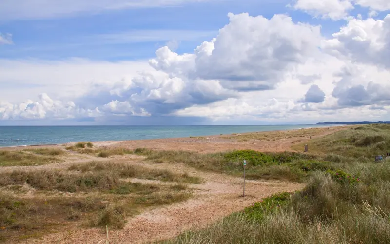 原生家庭对我们真的有影响吗？