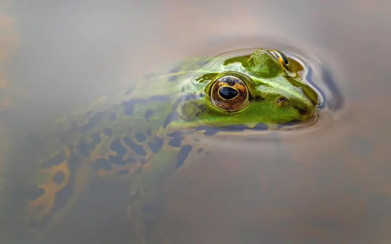这么做，迟早毁了你的爱情