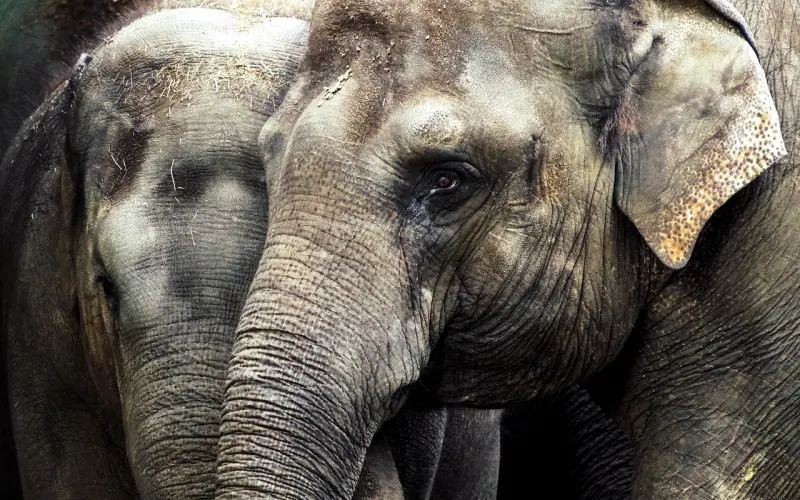 别傻了！男人这些行为是想逼你说分手