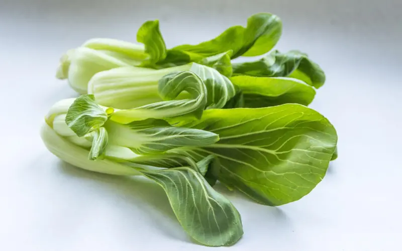 恋爱吵架时别提前任，珍惜眼前人才是最重要。