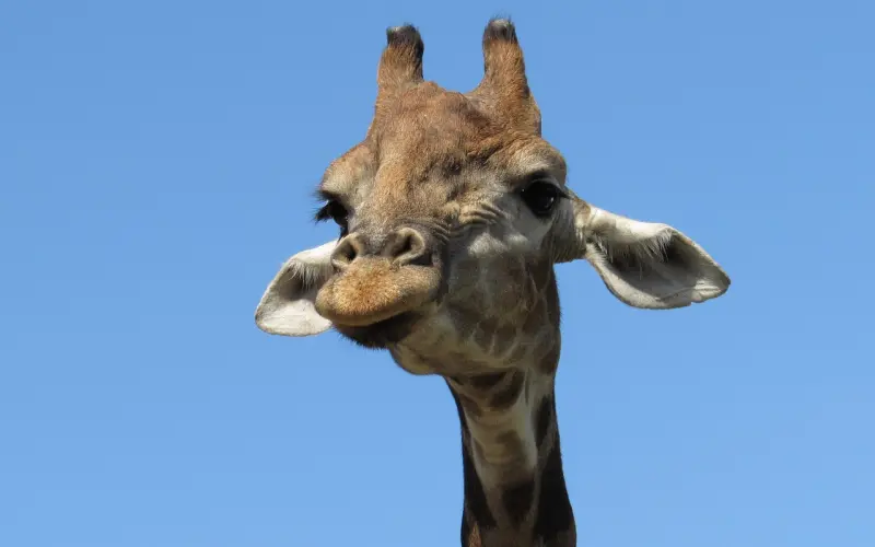 “不正经”的女人，会有这五个生活习惯，别不知道！