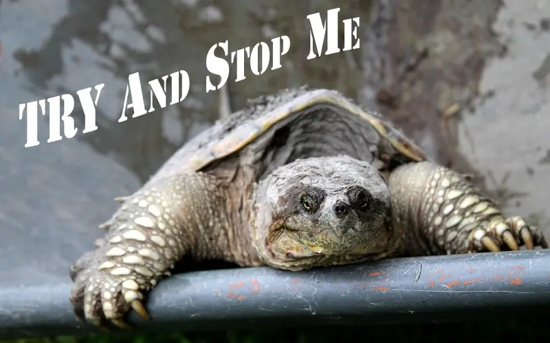 发现问题不要拖，跟看医生一样