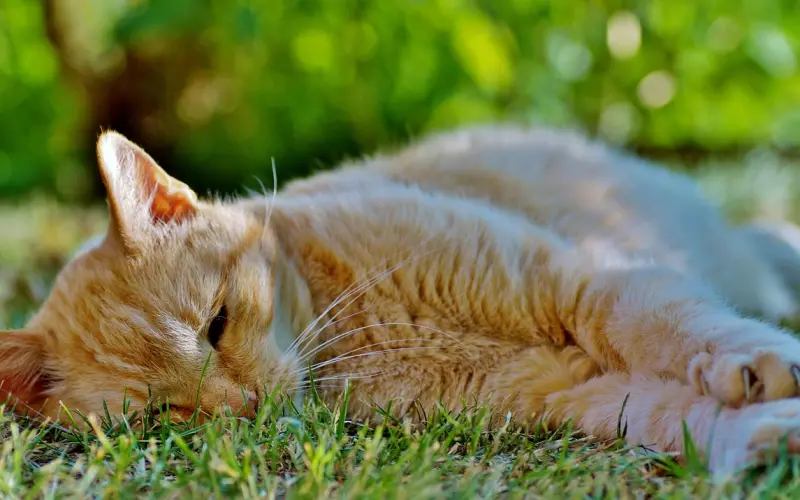 不要轻易去打扰别人的幸福