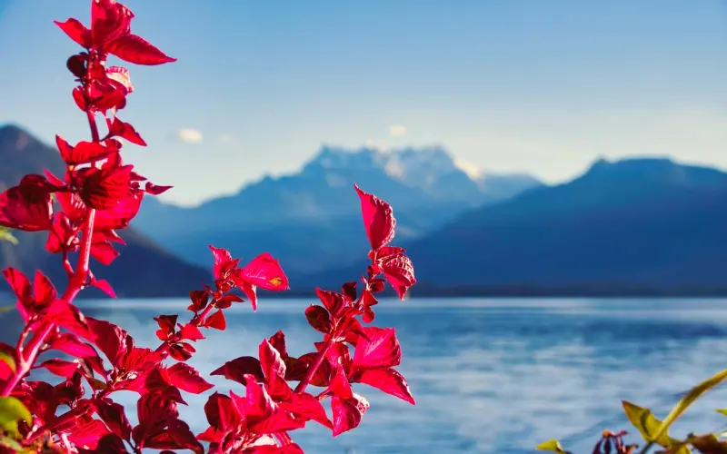 不会聊天？一步步教你聊到“她爱上你”