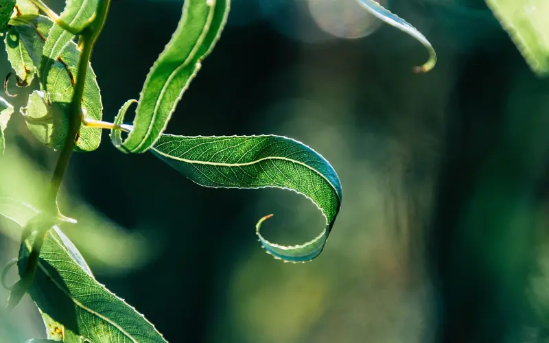 微信不知道怎么聊？这样做让她主动迎和你