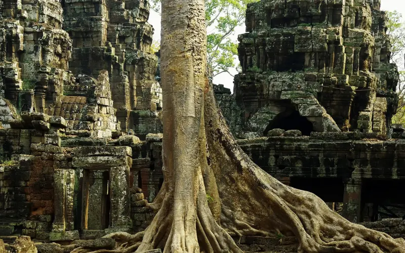 别让情感操控扼杀你的爱情（上篇）