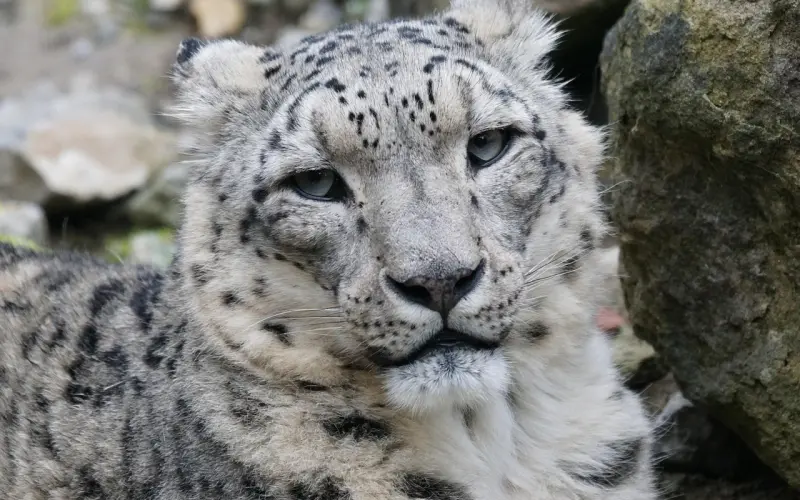 别让无休止的冷战，伤害了你们之间的感情！