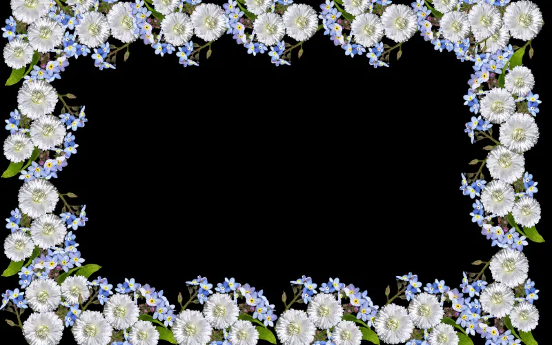 别骗我了，我又不傻！