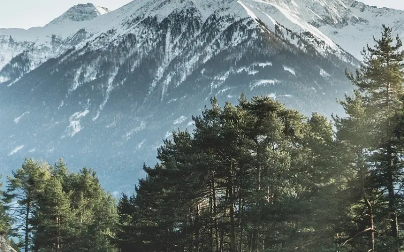 别喜欢他，他只想套路你