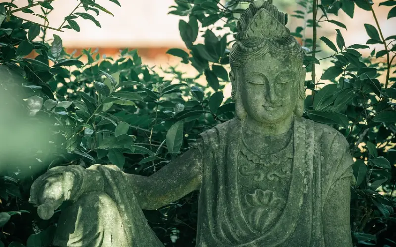 不要缺席父母老去的时光QWQ