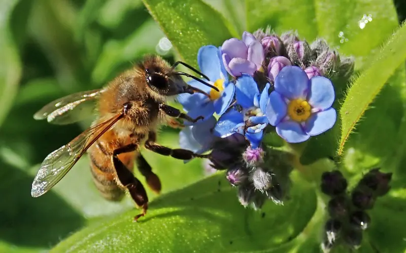 别乱动，我来大姨妈了——「全民情敌 · 21章」