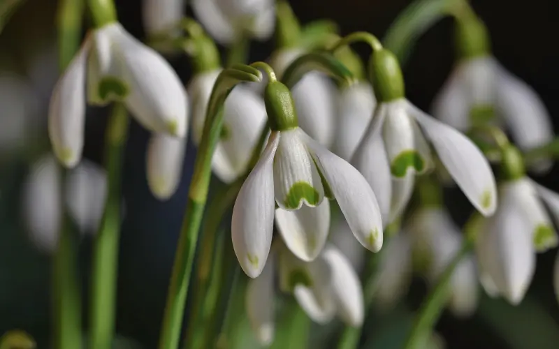分手后不要急着去挽回，要学会给对方降压