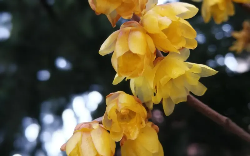 别轻意离婚，现今，已不是穷人的孩子早当家了！！！