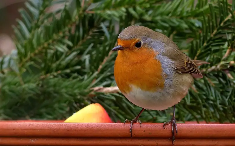 不要想太多与不要太在意一些行为