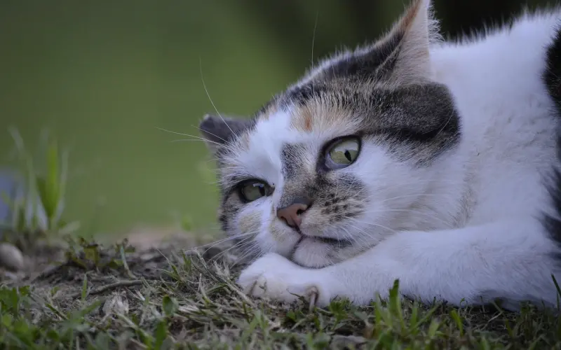 别以为你男人很爱你，不信你晚上试试