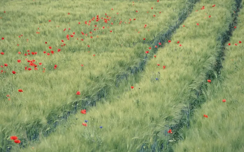 别作，他爱不爱你肯定不能只看这些