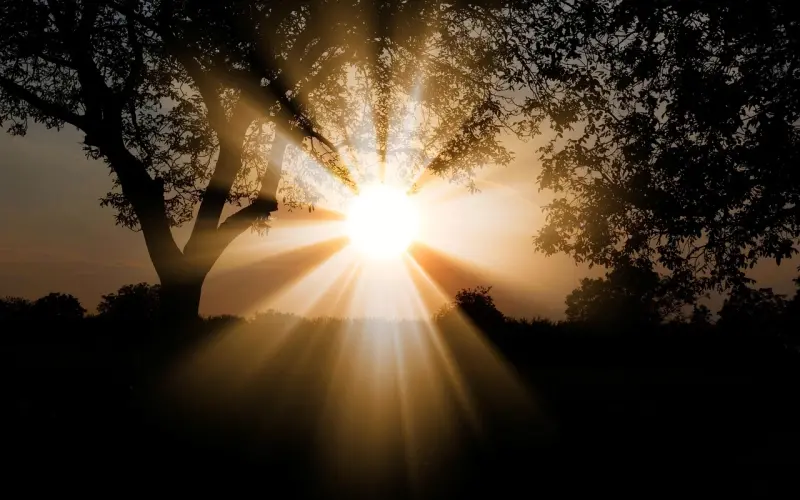 “你不就是嫌我丑吗？”“对啊”