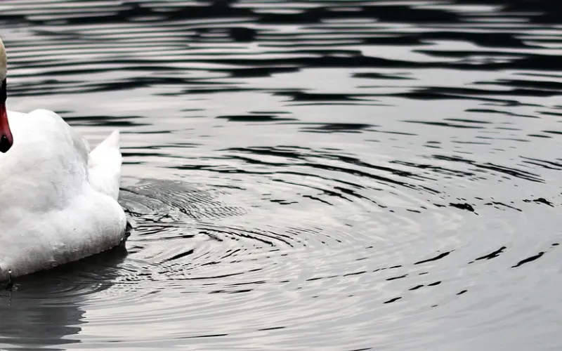 杜江霍思燕：最好的爱情，是互相成就