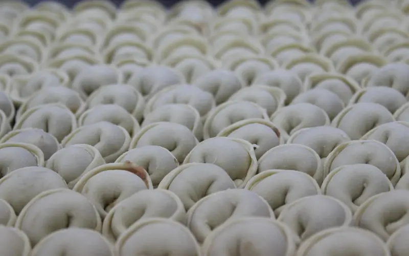 饺子天团心态练习