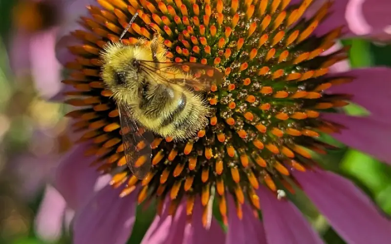 结婚后一定要说的八句谎言！