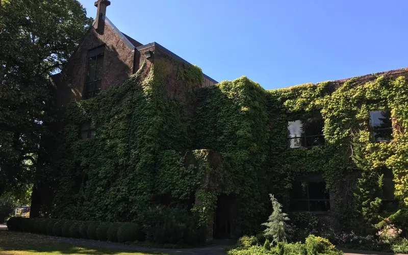 要么疯狂，要么灭亡——「全民情敌 · 十三」