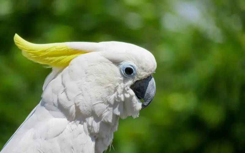 情感咨询：怀孕后总跟老公吵架，是我要求过分了吗