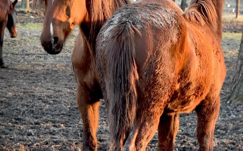 情感咨询：老公对婆婆言听计从完全不理我，我该怎么办