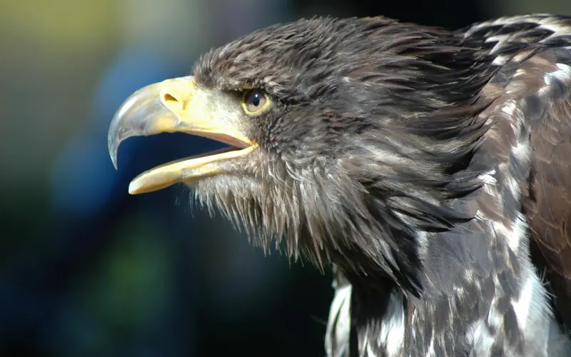 情感咨询：老公变心不爱你的8个表现