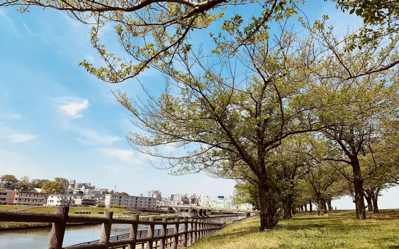 情感咨询：你能拿捏好挽回中的分寸感吗？