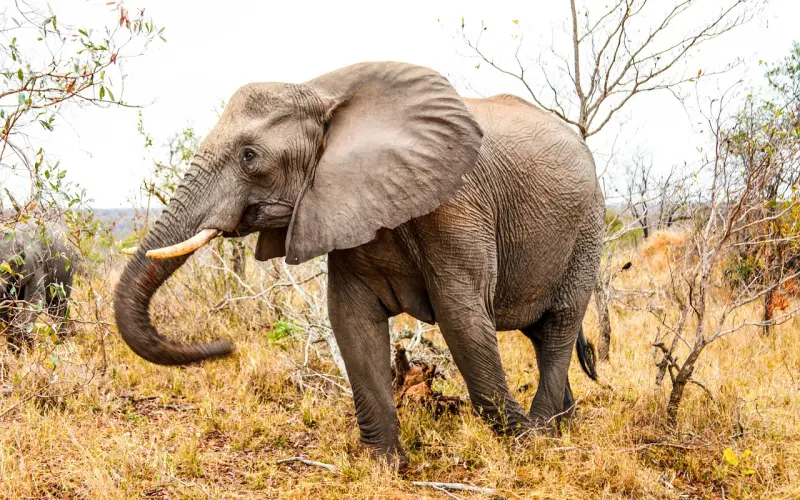 情感咨询案例：我很喜欢他不想分手，该怎么挽回？