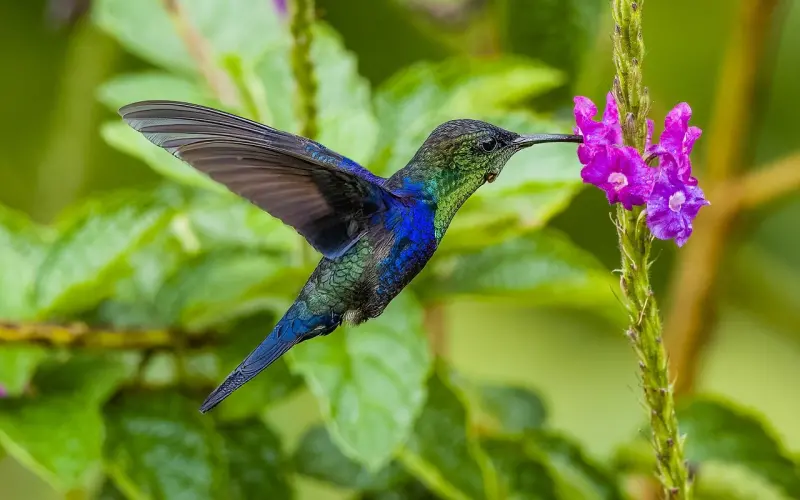 情感咨询案例：女友跟异性关系太过亲密，我该怎么办！