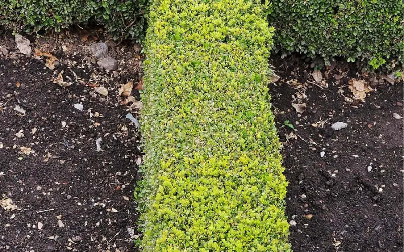 情感咨询：沟通是情感挽回的必修课！