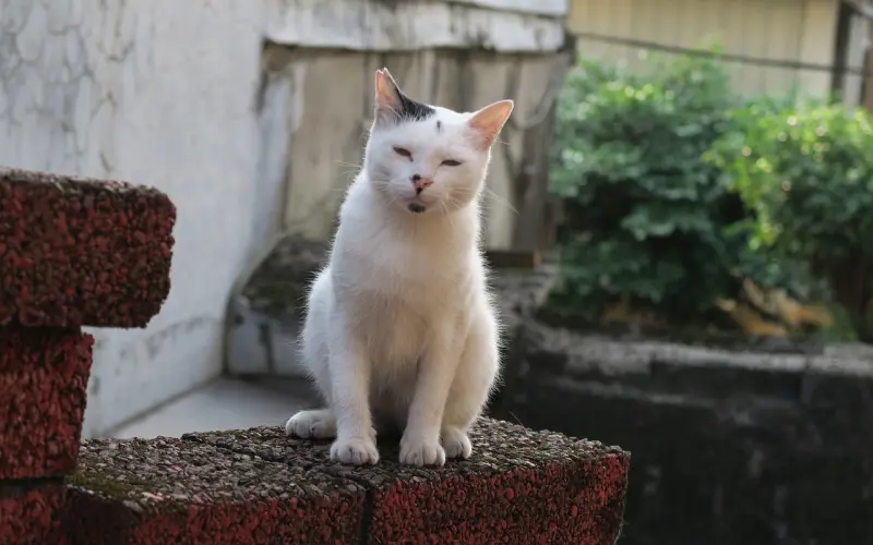情感咨询：婚姻常出现的问题及解决策略