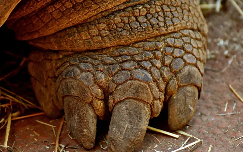 【情感咨询】难道，我只能是他的前度？