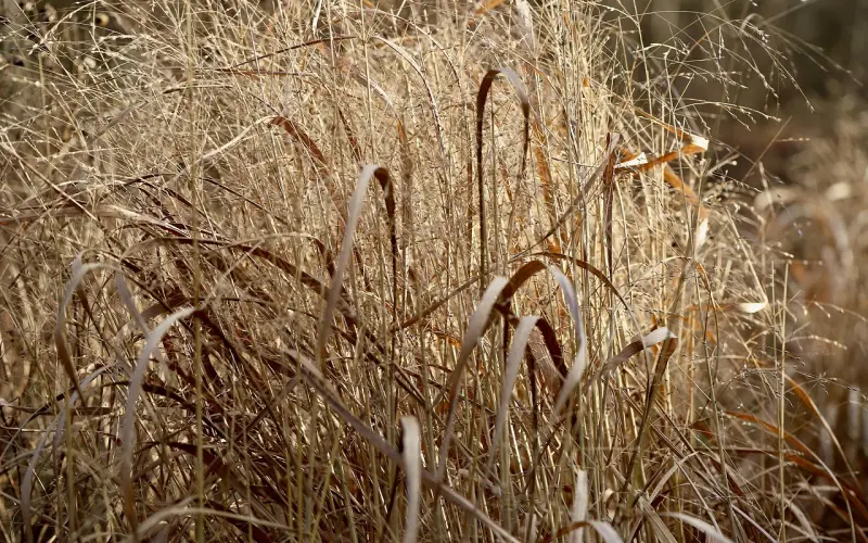 情感咨询：婚后的危机，婚前早就剧透了