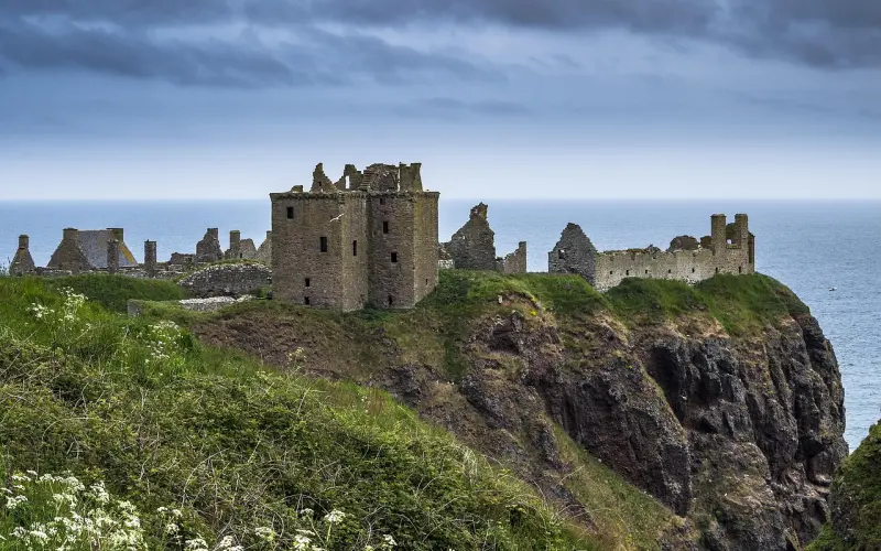 情感咨询：爱情保鲜的五大秘籍