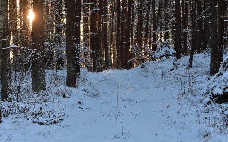 情感咨询：四个方法轻松挽回前男友