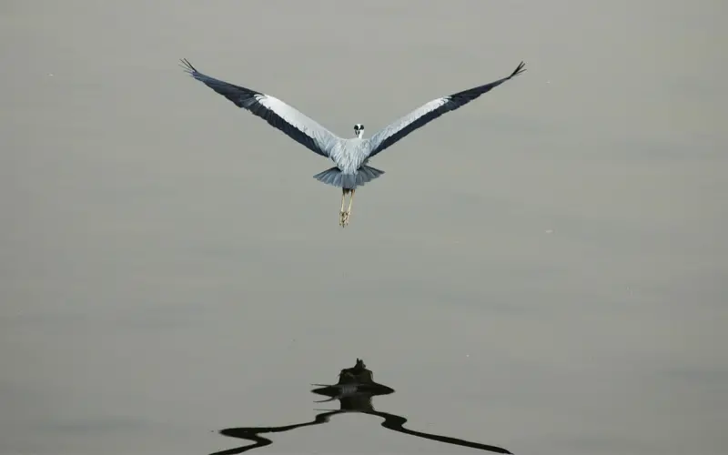 情感咨询：想要赶走孕期抑郁 这些招数你学会了吗？