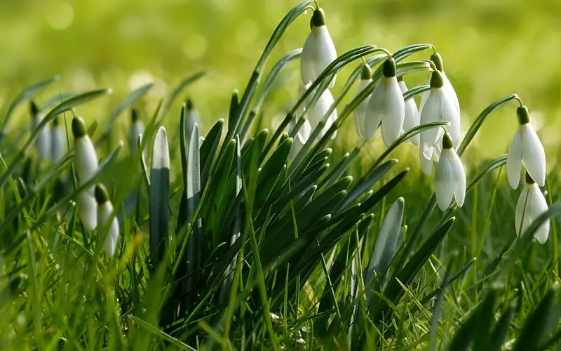 情感咨询：如何降低老公出轨的几率呢？