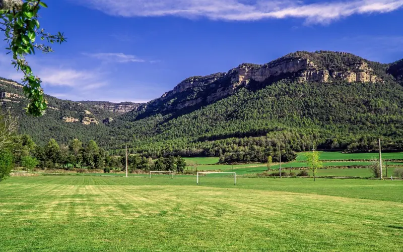 情感咨询：如何让爱情保鲜